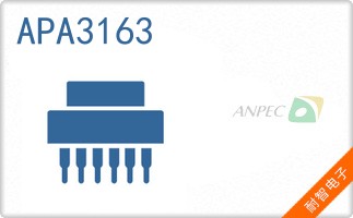 APA3163