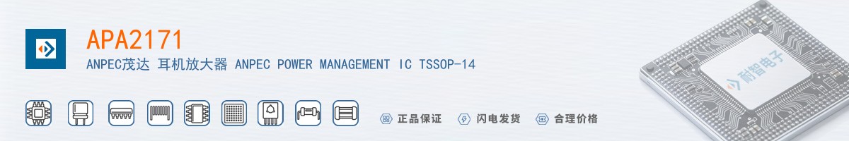 APA2171������