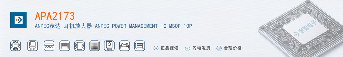 APA2173������