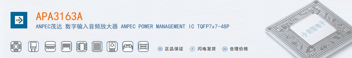 APA3163A������